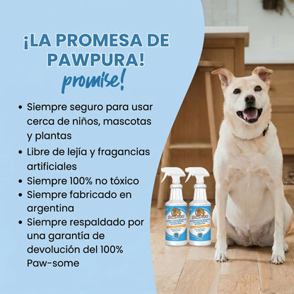 PawPura: La solución definitiva para las manchas y olores de tus mascotas