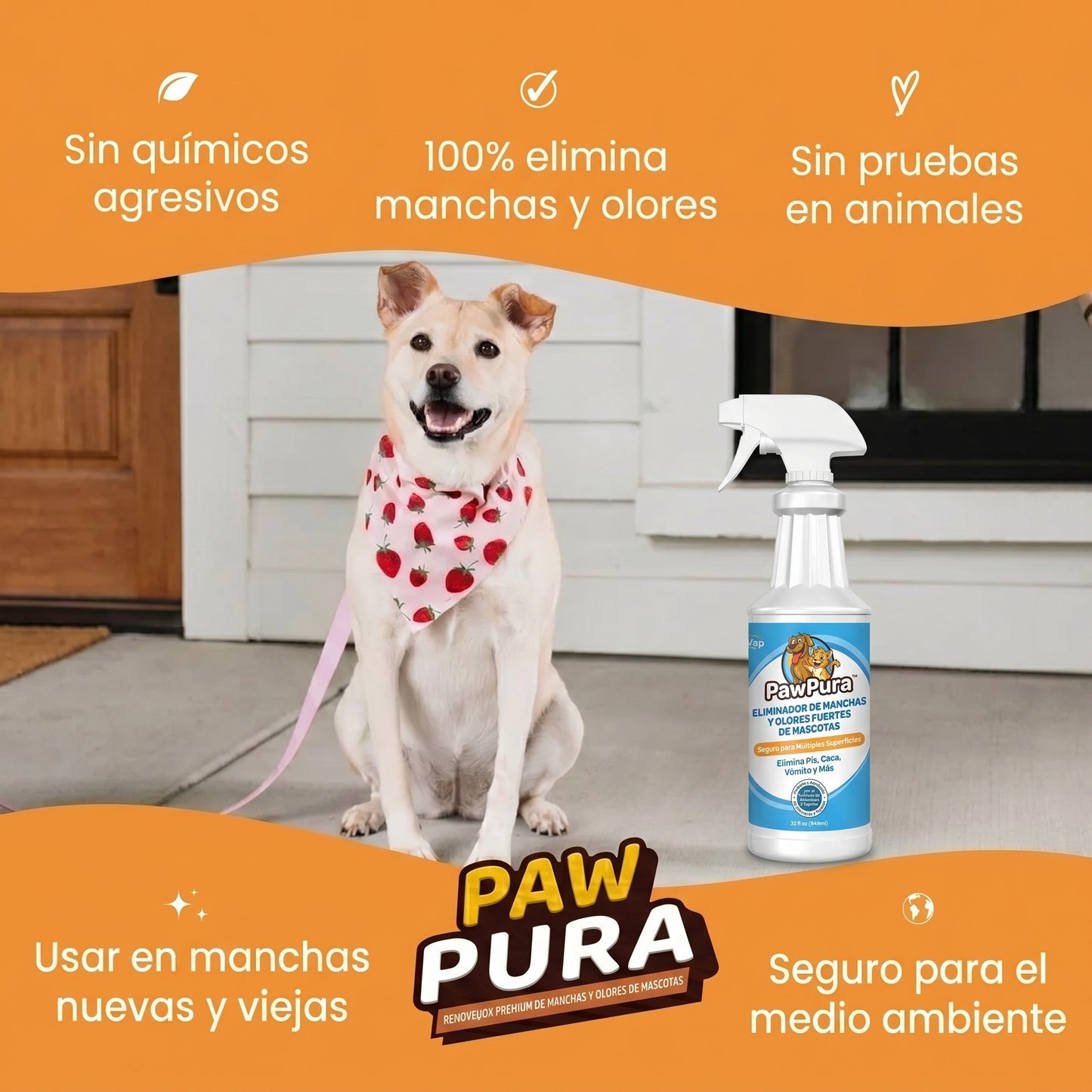 PawPura: La solución definitiva para las manchas y olores de tus mascotas