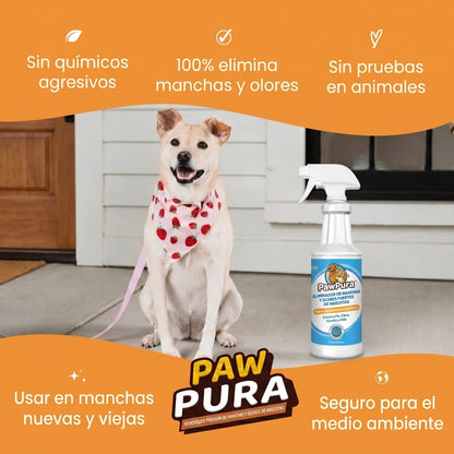 PawPura: La solución definitiva para las manchas y olores de tus mascotas