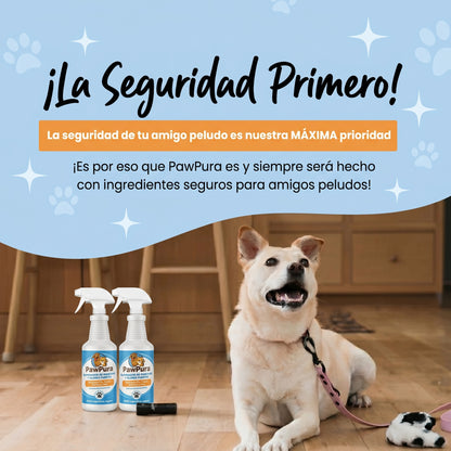 PawPura: La solución definitiva para las manchas y olores de tus mascotas